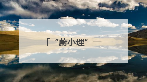 “蔚小理”一季度财报分析：理想盈利稳健 小鹏亏损收窄
