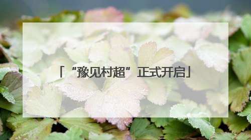 “豫见村超”正式开启