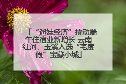 “遛娃经济”撬动端午住宿业新增长 云南红河、玉溪入选“宅度假”宝藏小城