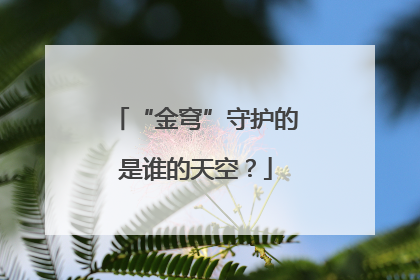 “金穹”守护的是谁的天空？