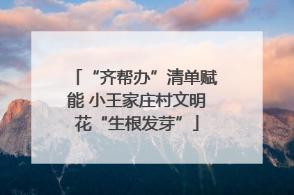 “齐帮办”清单赋能 小王家庄村文明花“生根发芽”