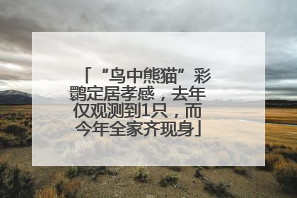 “鸟中熊猫”彩鹮定居孝感，去年仅观测到1只，而今年全家齐现身