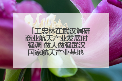 王忠林在武汉调研商业航天产业发展时强调 做大做强武汉国家航天产业基地 打造具有全国影响力的“中国星谷”