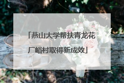 燕山大学帮扶青龙花厂峪村取得新成效