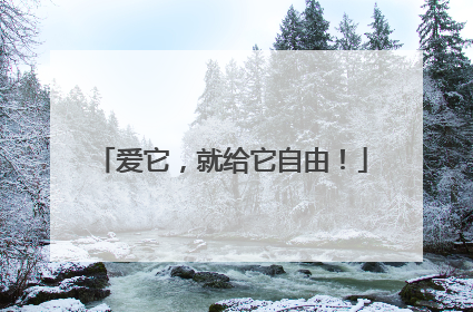 爱它，就给它自由！