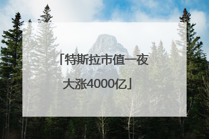 特斯拉市值一夜大涨4000亿