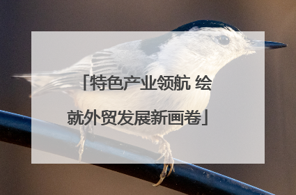 特色产业领航 绘就外贸发展新画卷