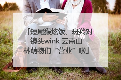 短尾猴炫饭、斑羚对镜头wink 云南山林萌物们“营业”啦