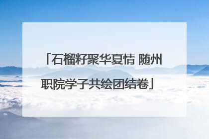 石榴籽聚华夏情 随州职院学子共绘团结卷