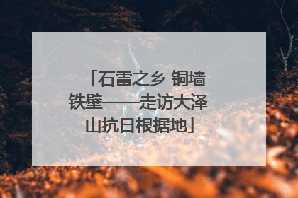 石雷之乡 铜墙铁壁——走访大泽山抗日根据地