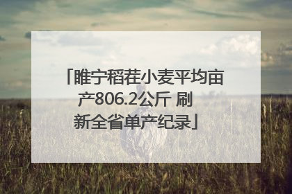 睢宁稻茬小麦平均亩产806.2公斤 刷新全省单产纪录