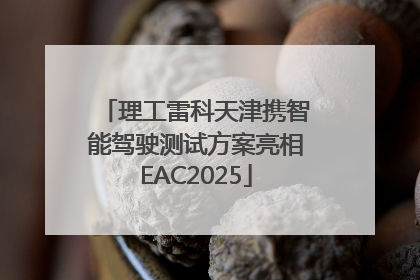 理工雷科天津携智能驾驶测试方案亮相EAC2025