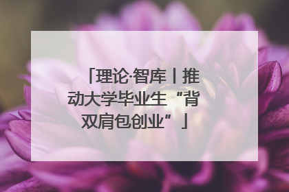 理论·智库丨推动大学毕业生“背双肩包创业”