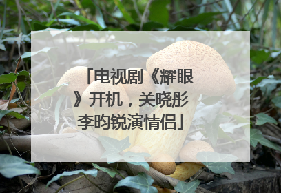 电视剧《耀眼》开机，关晓彤李昀锐演情侣