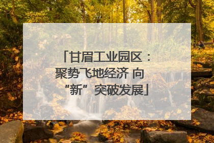 甘眉工业园区：聚势飞地经济 向“新”突破发展