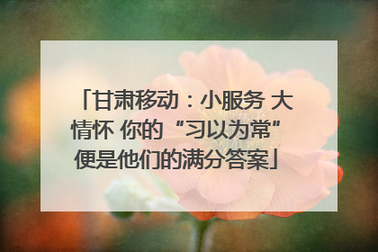甘肃移动：小服务 大情怀 你的“习以为常”便是他们的满分答案