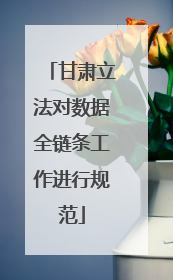 甘肃立法对数据全链条工作进行规范
