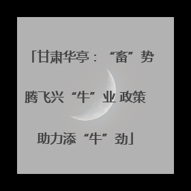 甘肃华亭：“畜”势腾飞兴“牛”业 政策助力添“牛”劲