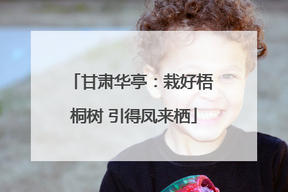 甘肃华亭：栽好梧桐树 引得凤来栖