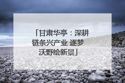 甘肃华亭：深耕链条兴产业 逐梦沃野绘新景