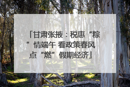 甘肃张掖：税惠“粽”情端午 看政策春风点“燃”假期经济