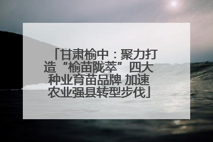 甘肃榆中：聚力打造“榆苗陇萃”四大种业育苗品牌 加速农业强县转型步伐