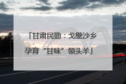 甘肃民勤：戈壁沙乡孕育“甘味”领头羊