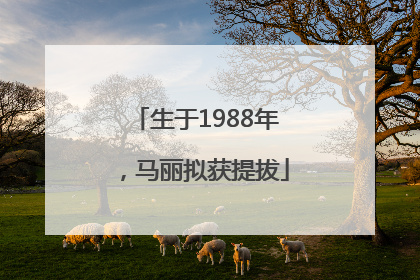 生于1988年，马丽拟获提拔