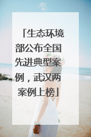 生态环境部公布全国先进典型案例，武汉两案例上榜