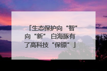 生态保护向“智”向“新” 白海豚有了高科技“保镖”