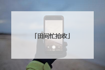 田间忙抢收