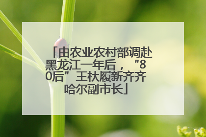 由农业农村部调赴黑龙江一年后，“80后”王杕履新齐齐哈尔副市长