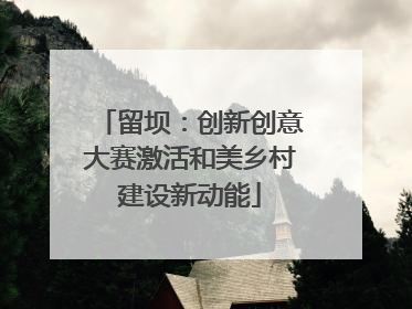 留坝：创新创意大赛激活和美乡村建设新动能