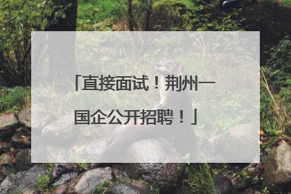 直接面试！荆州一国企公开招聘！