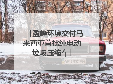 盈峰环境交付马来西亚首批纯电动垃圾压缩车