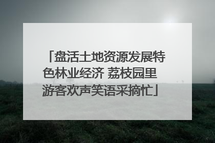 盘活土地资源发展特色林业经济 荔枝园里游客欢声笑语采摘忙