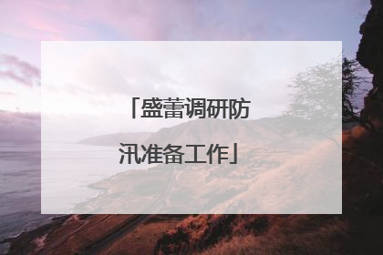 盛蕾调研防汛准备工作