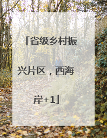 省级乡村振兴片区，西海岸+1