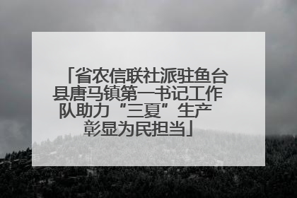 省农信联社派驻鱼台县唐马镇第一书记工作队助力“三夏”生产 彰显为民担当