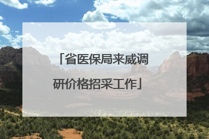 省医保局来威调研价格招采工作