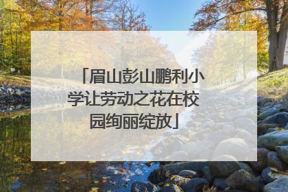 眉山彭山鹏利小学让劳动之花在校园绚丽绽放