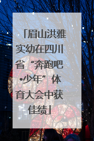 眉山洪雅实幼在四川省“奔跑吧•少年”体育大会中获佳绩