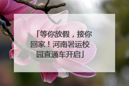 等你放假，接你回家！河南暑运校园直通车开启