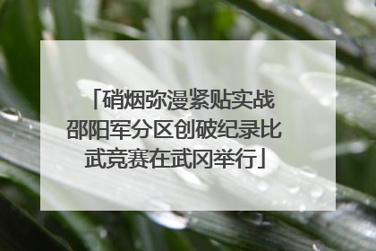 硝烟弥漫紧贴实战 邵阳军分区创破纪录比武竞赛在武冈举行