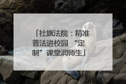 社旗法院：精准普法进校园 “定制”课堂润师生