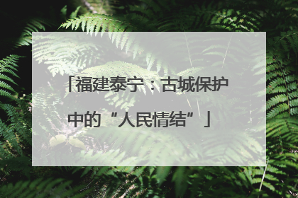福建泰宁：古城保护中的“人民情结”