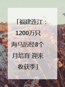 福建连江：1200万只海马历经8个月培育 迎来收获季