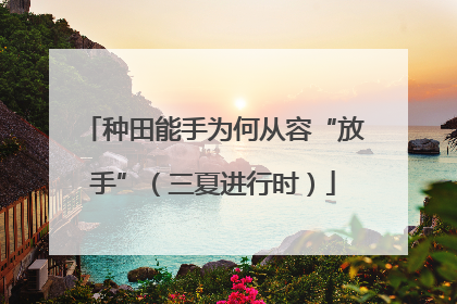 种田能手为何从容“放手”（三夏进行时）