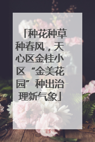 种花种草种春风，天心区金桂小区“金美花园”种出治理新气象