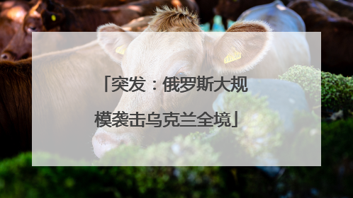 突发：俄罗斯大规模袭击乌克兰全境